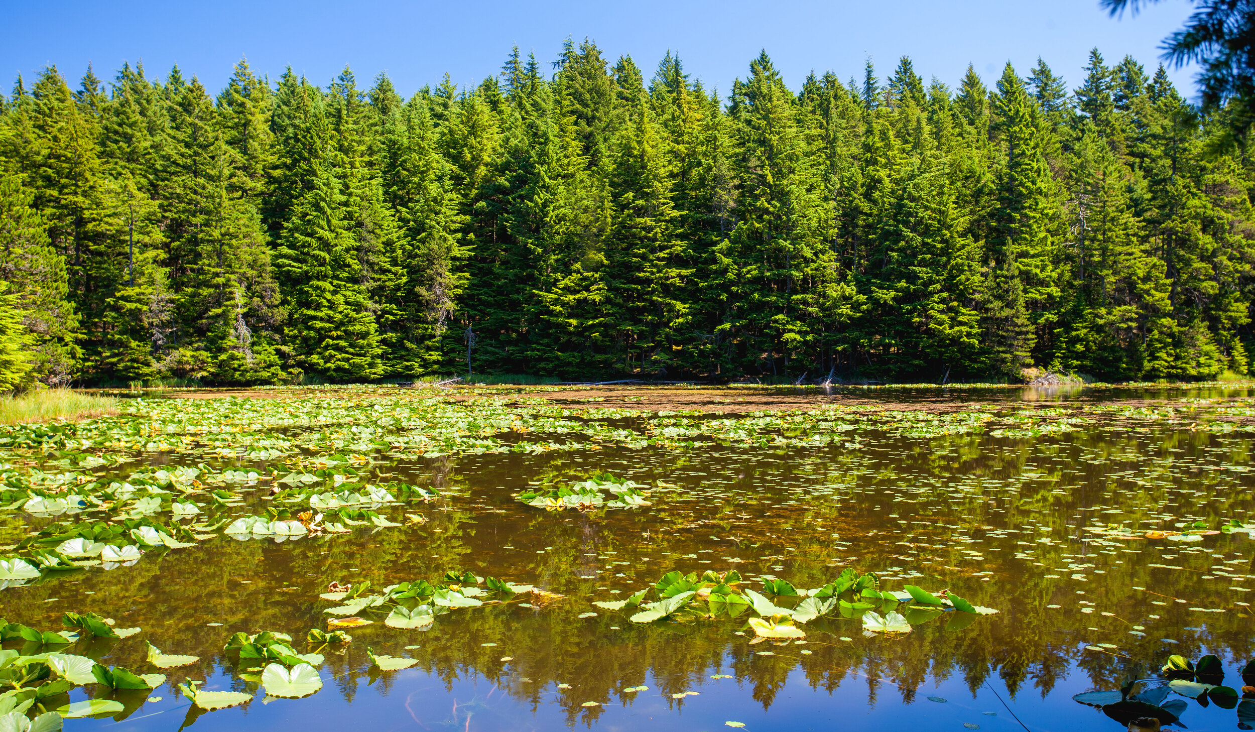 Anacortes, Washington