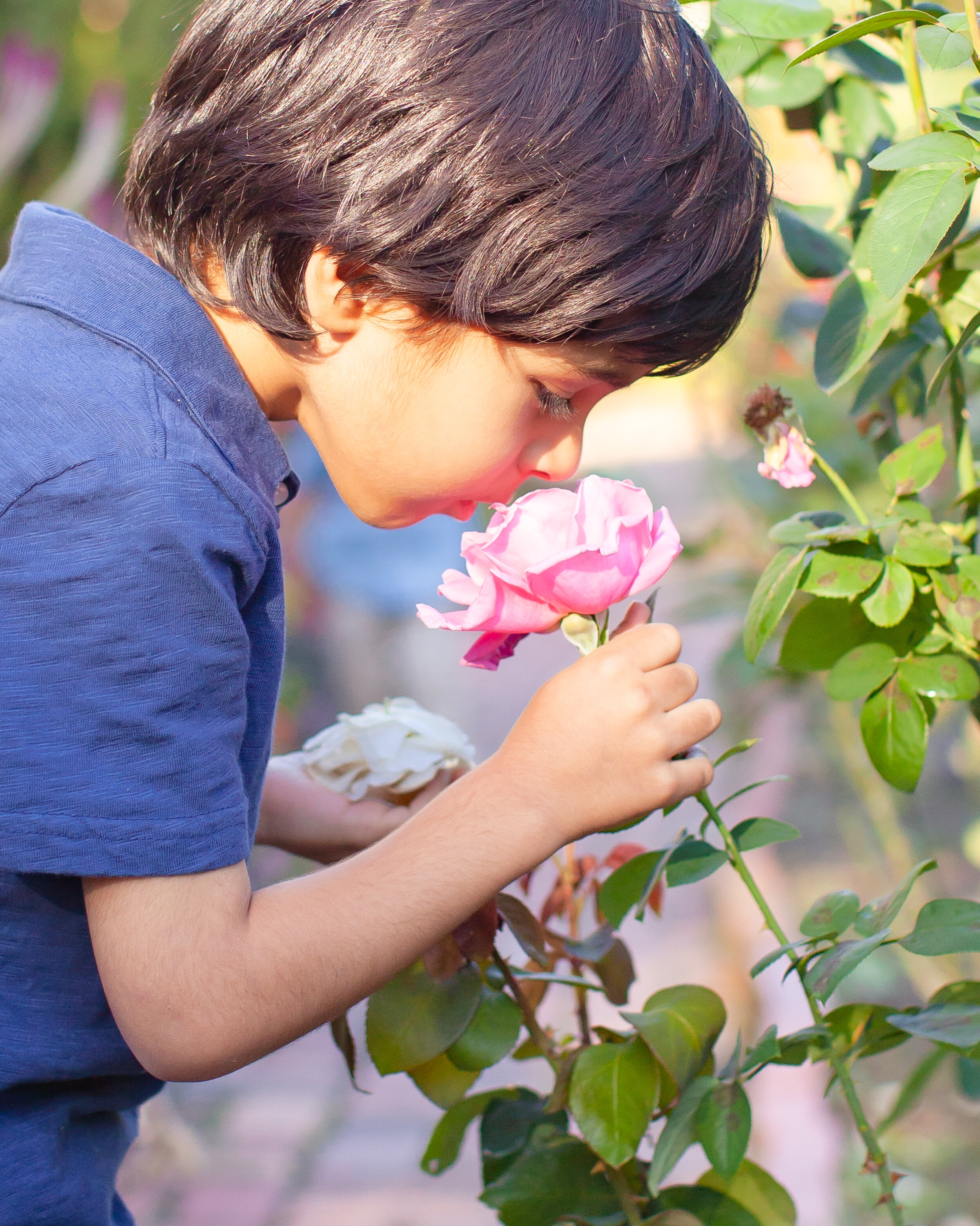 Luxury Unposed Family Portraits Washington DC MD VA