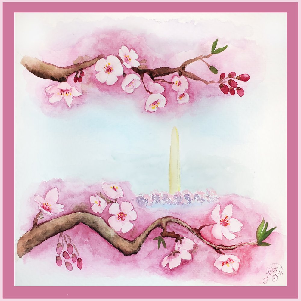 How to Paint Cherry Blossoms, Step-by-Step Watercolor