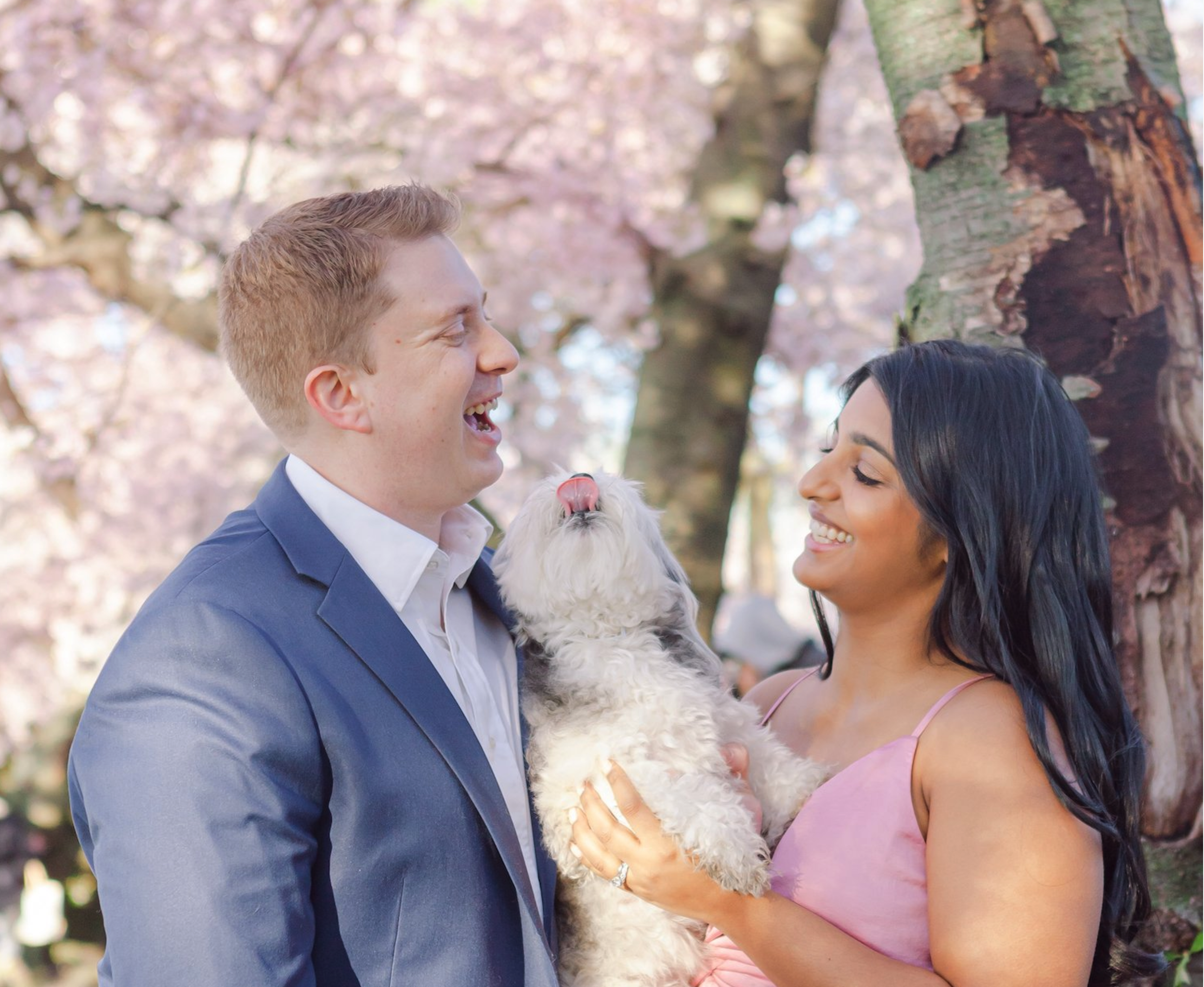 Sneak Peek at this year's Cherry Blossom Photo Sessions in Washington DC!