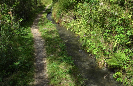 Suonenlauf im Erdboden (suonen.ch)