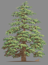 Screenshot 2024-07-18 at 12.31.45 PM.png