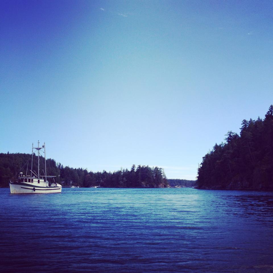 Photo taken in the beautiful, mystical Smugglers Cove last weekend. 