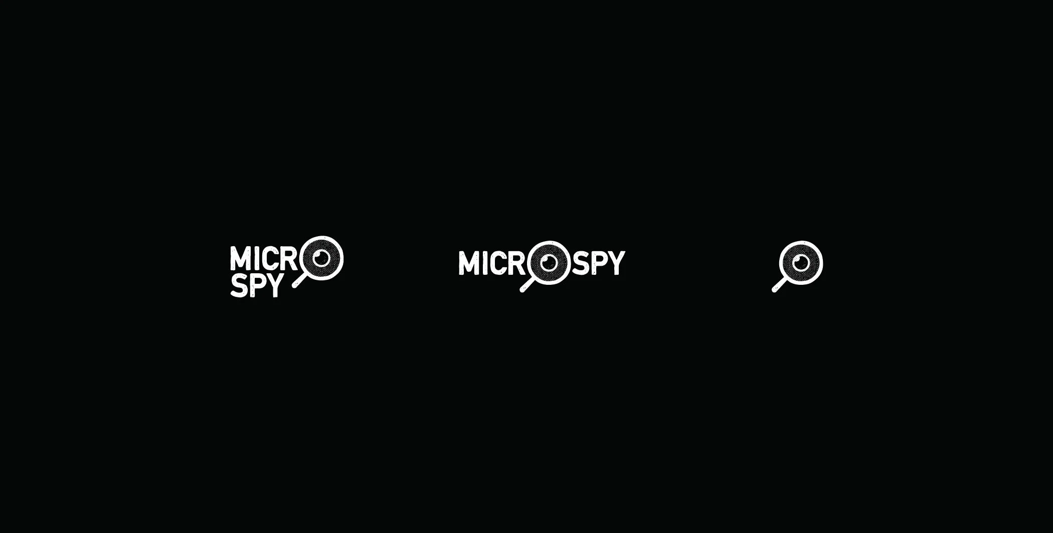 MicroSpyBrandIdentity-01.jpg