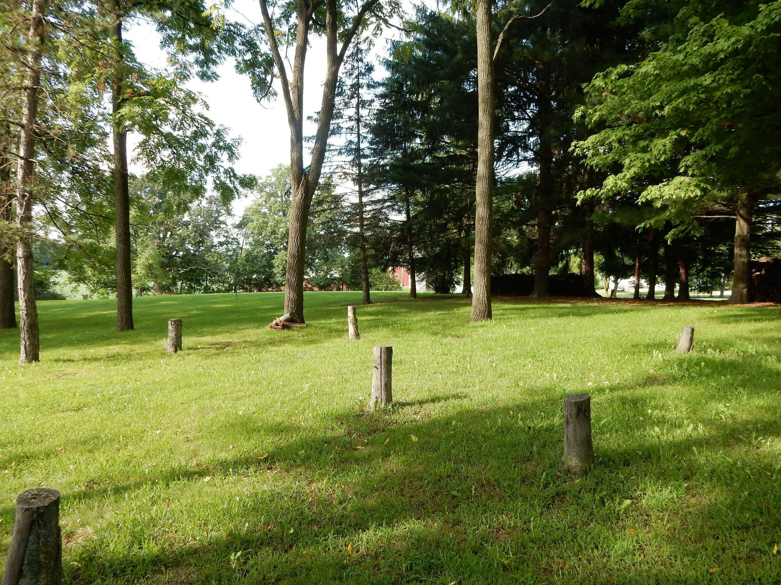DSCN0941.JPG