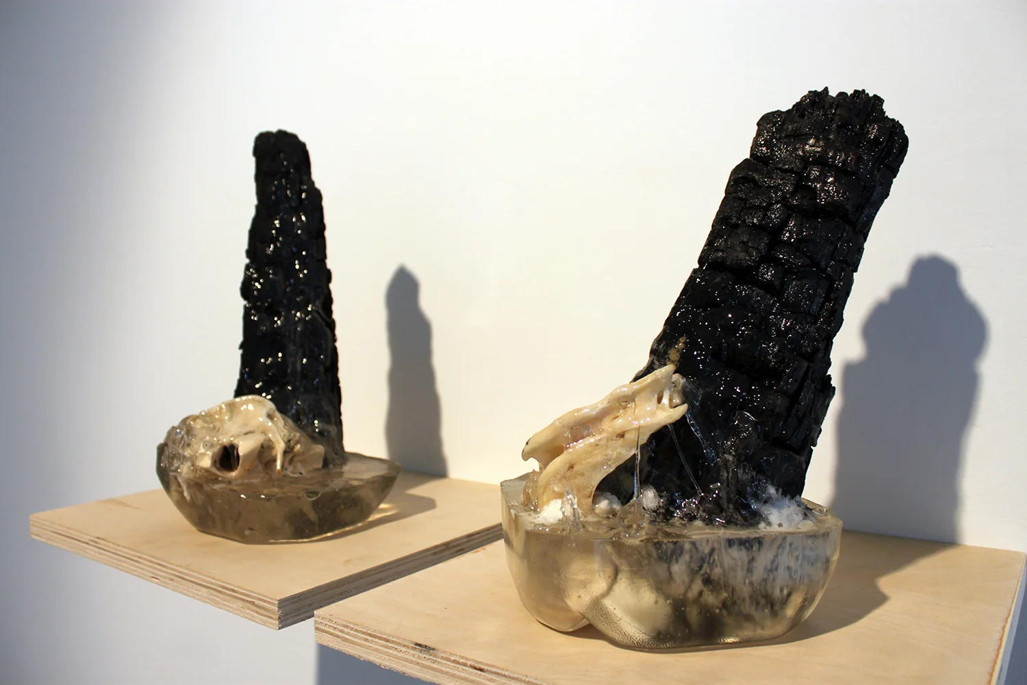 found burnt wood, bone, resin - each 16 in high x 24 in circumference