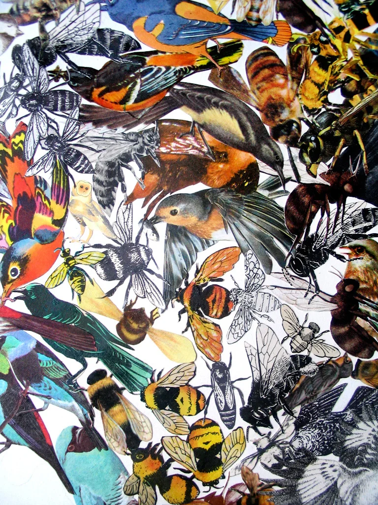 detail