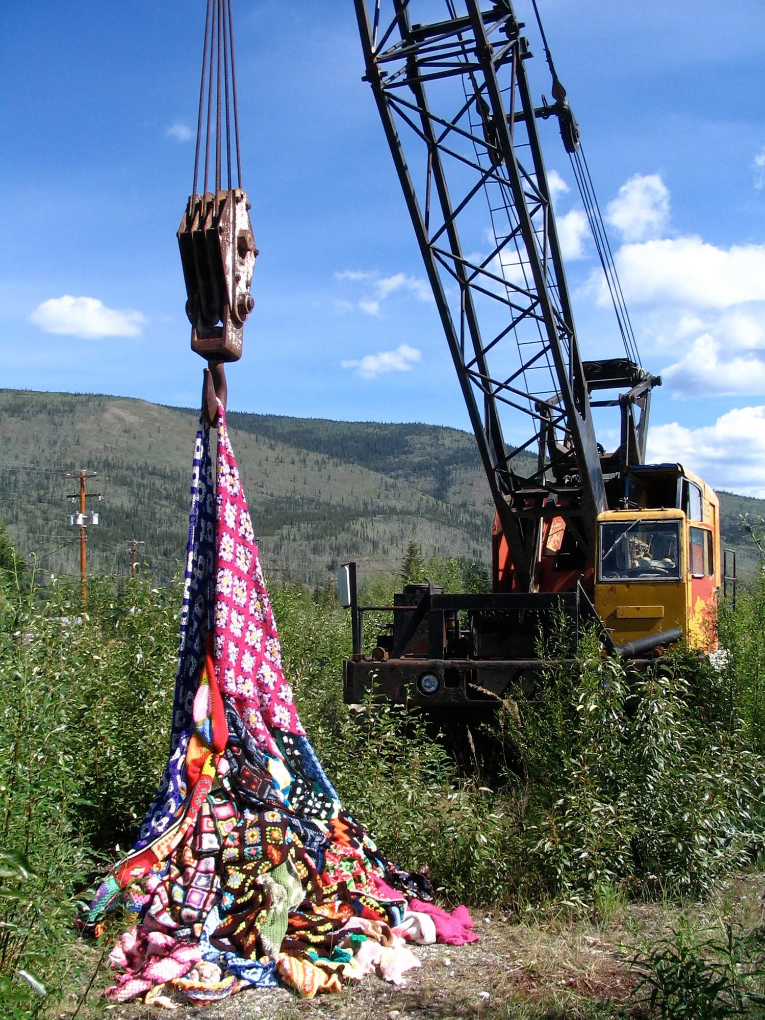 Cold Covered Bones - Dawson City, Yukon - 2006