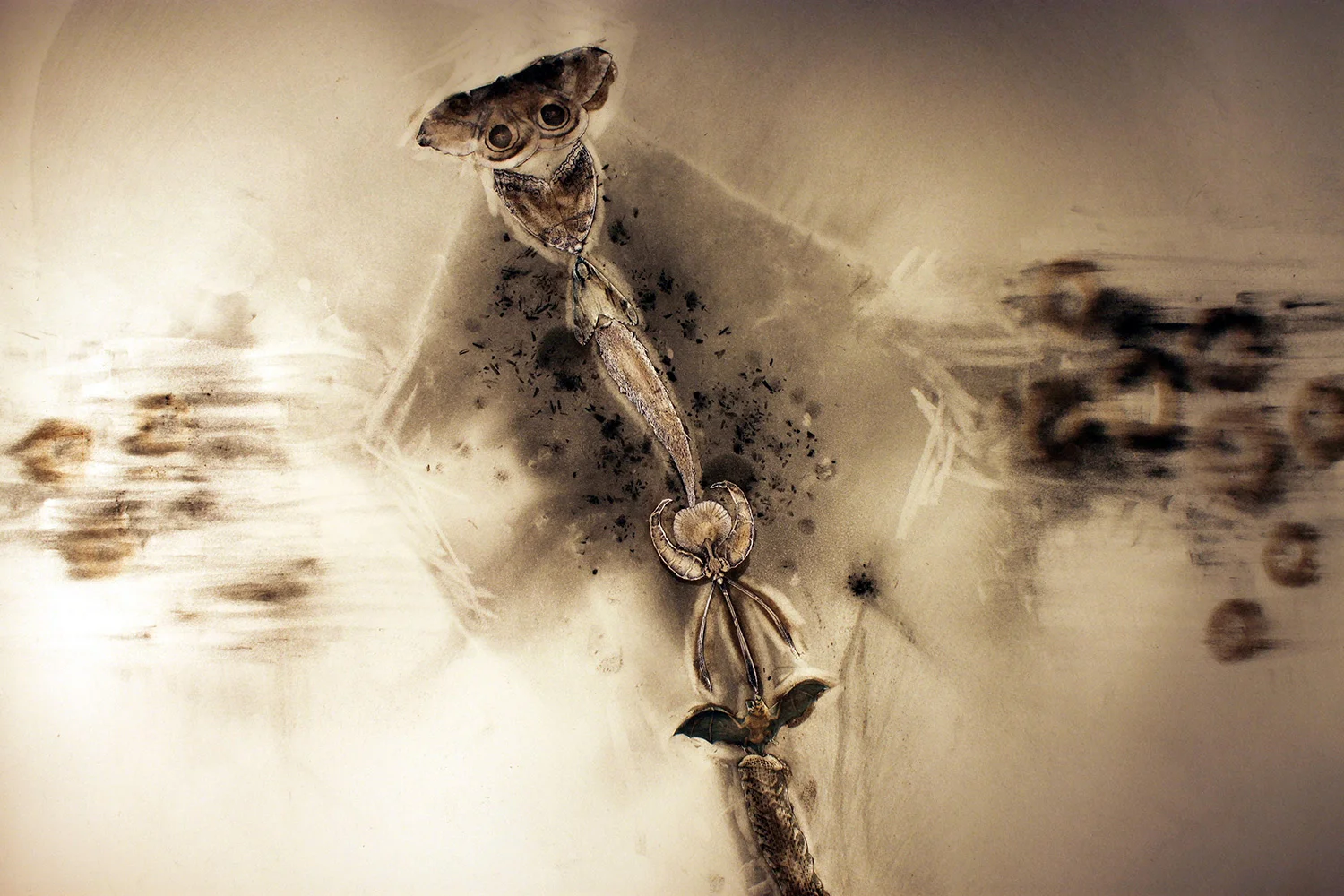 Erupture - charcoal, ash, collage - 22 x 30 in - 2012