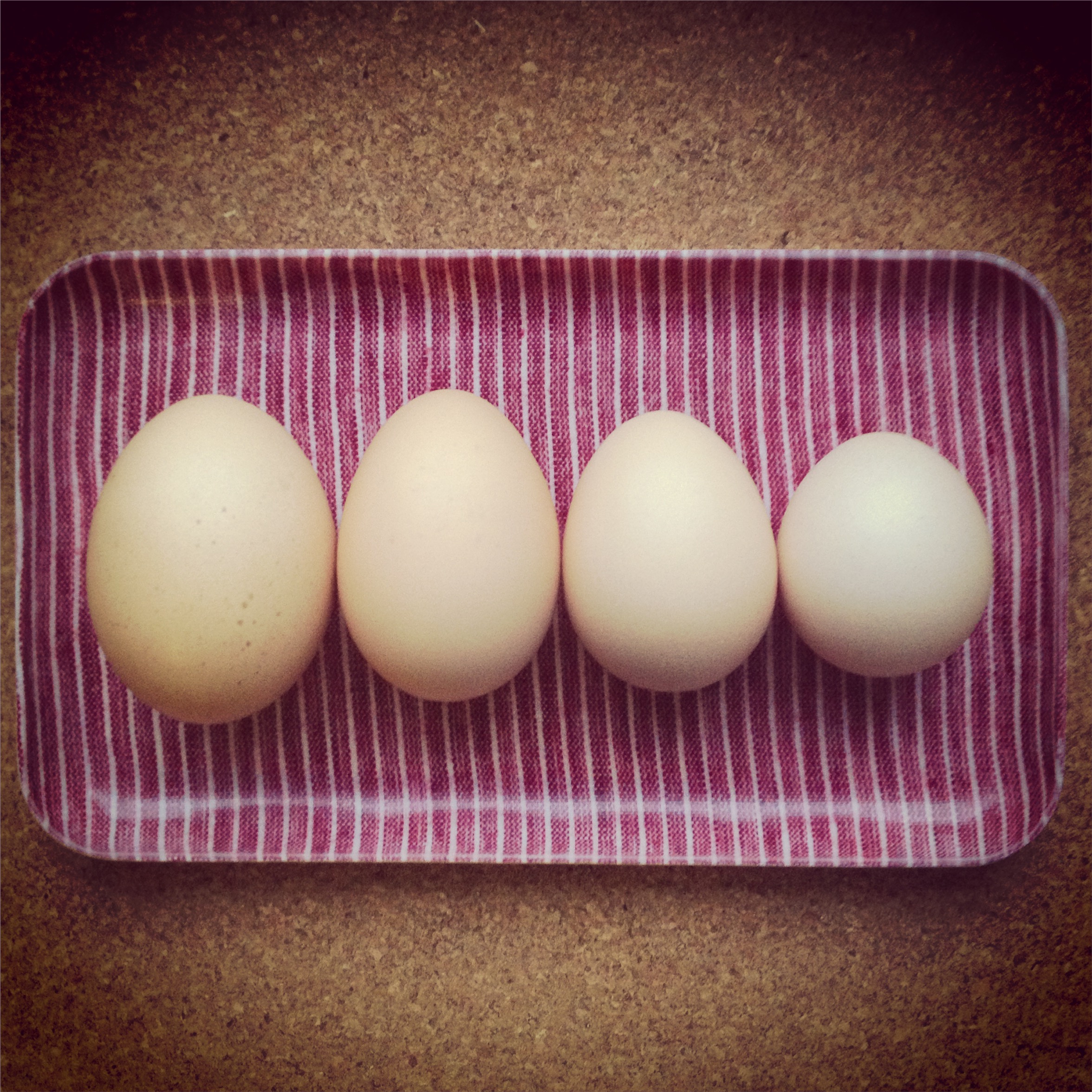  chicken eggs 