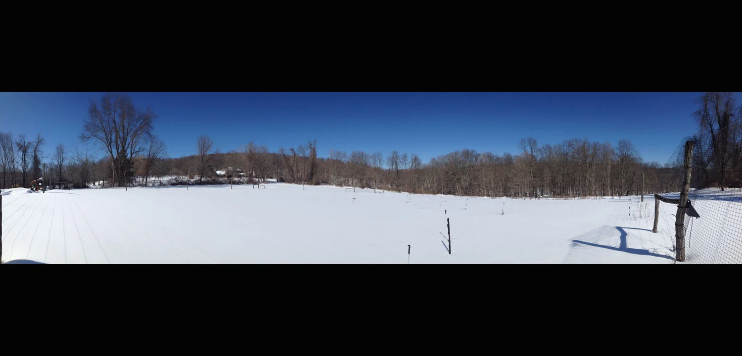 2015-02-28 12.35.11.jpg