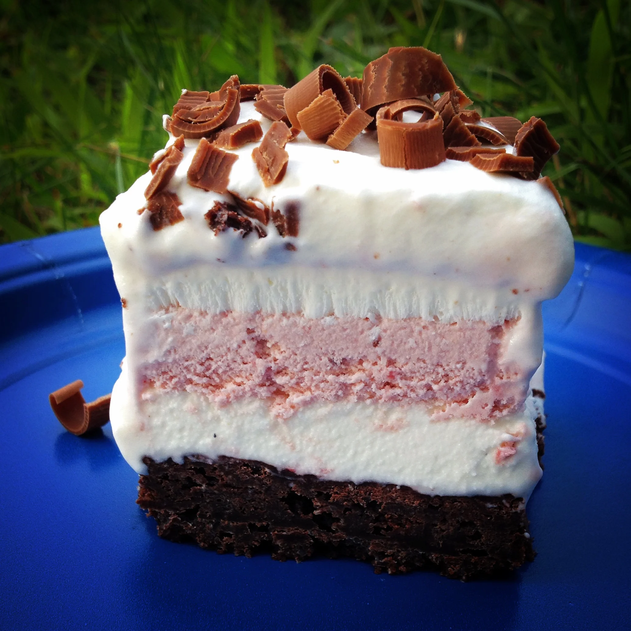 ice cream cake: balsamic roasted strawberry ice cream vanilla bean ice cream sourdough brownie crust whipped cream topping with milk chocolate curls