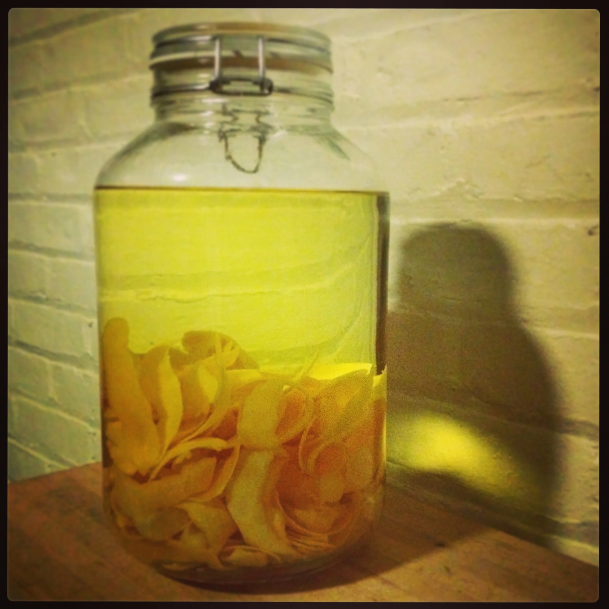 meyer lemon limencello