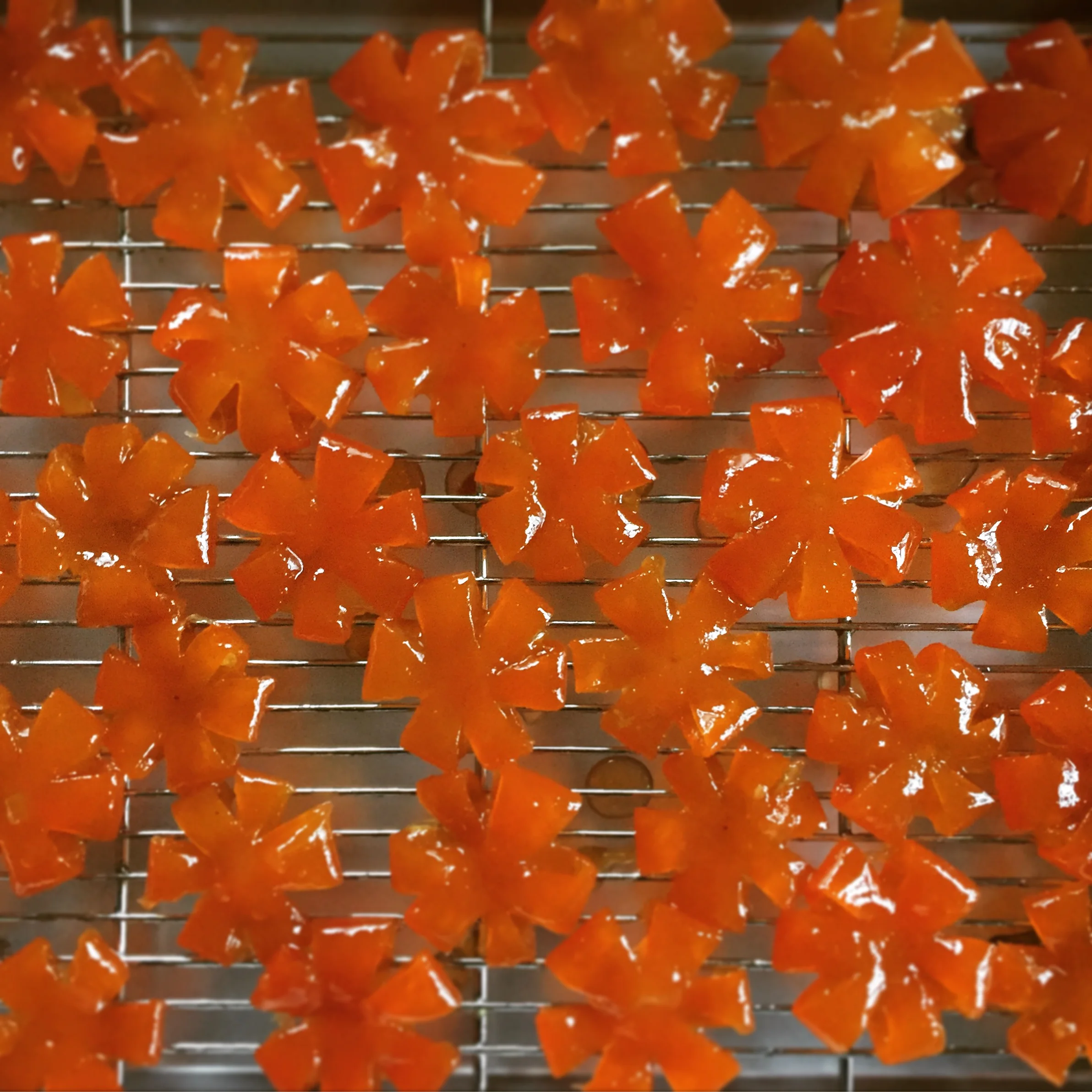 cinnamon candied kumquat flowers