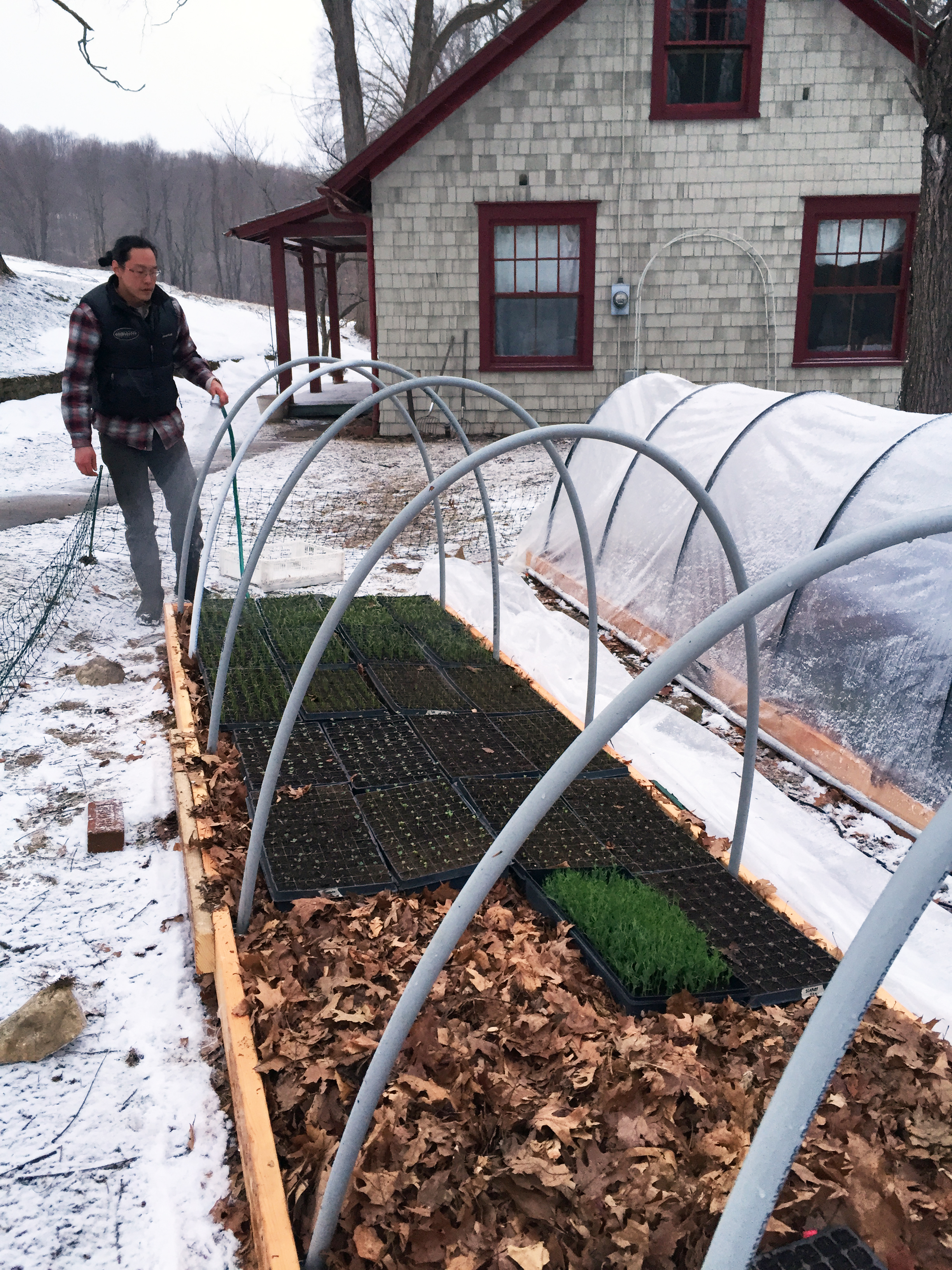  The daily chore of watering the seedlings 