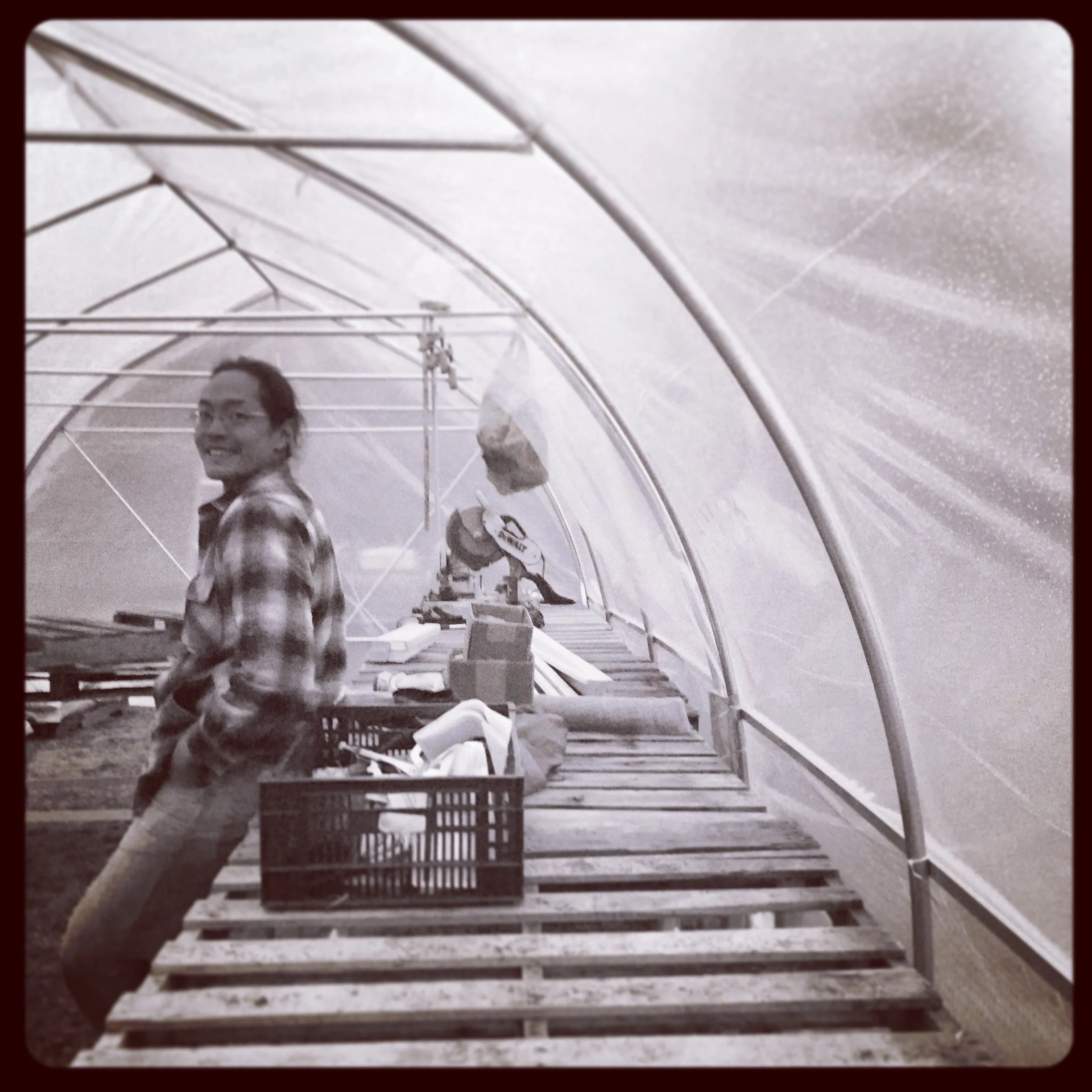 Finally the greenhouse is finished.