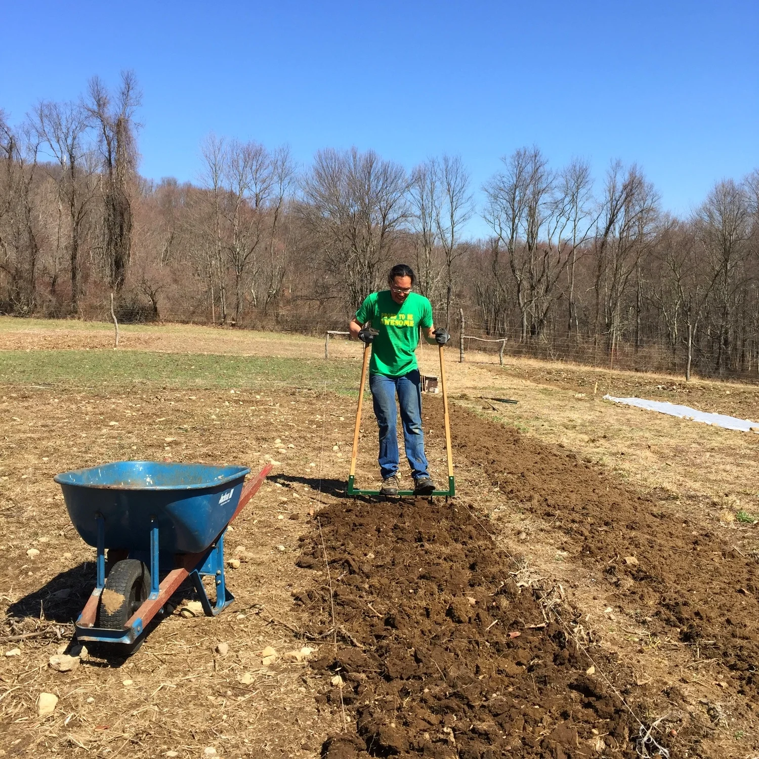 Wilson broadforking the beds to prep for planting.