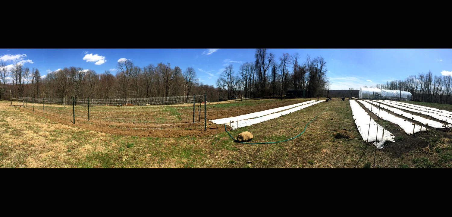 2015-04-18 13.43.40.jpg
