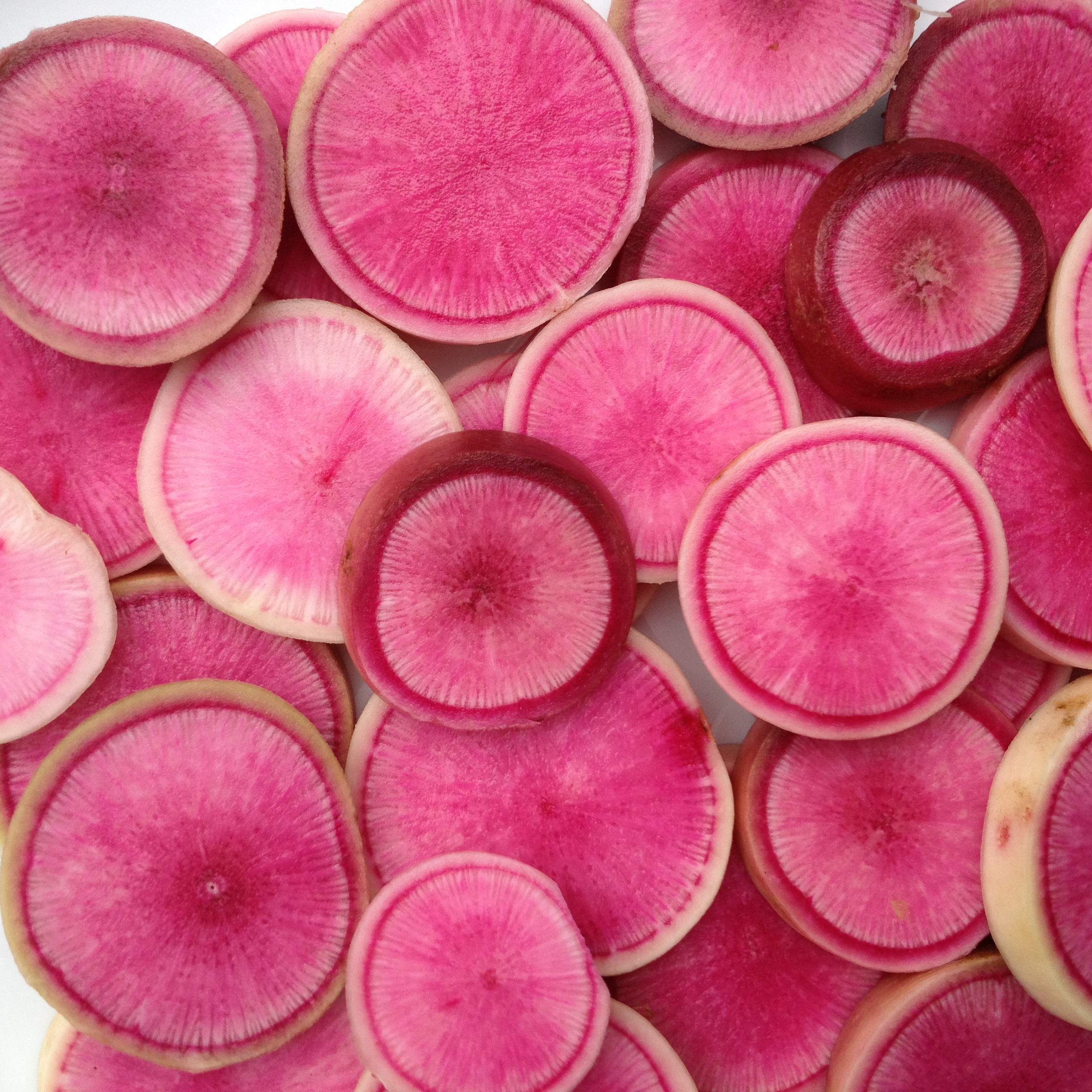  red meat radishes 