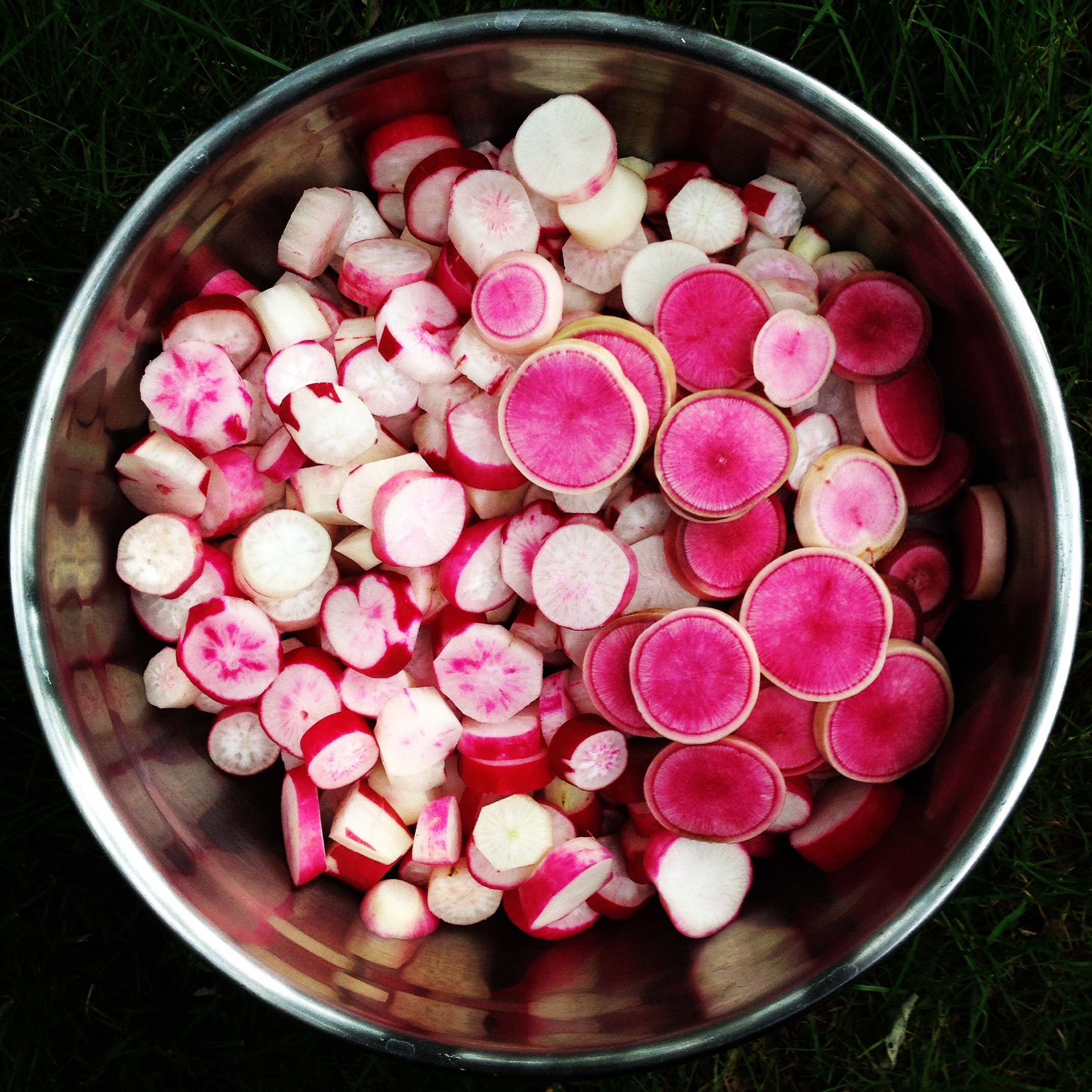  french breakfast red meat radishes 