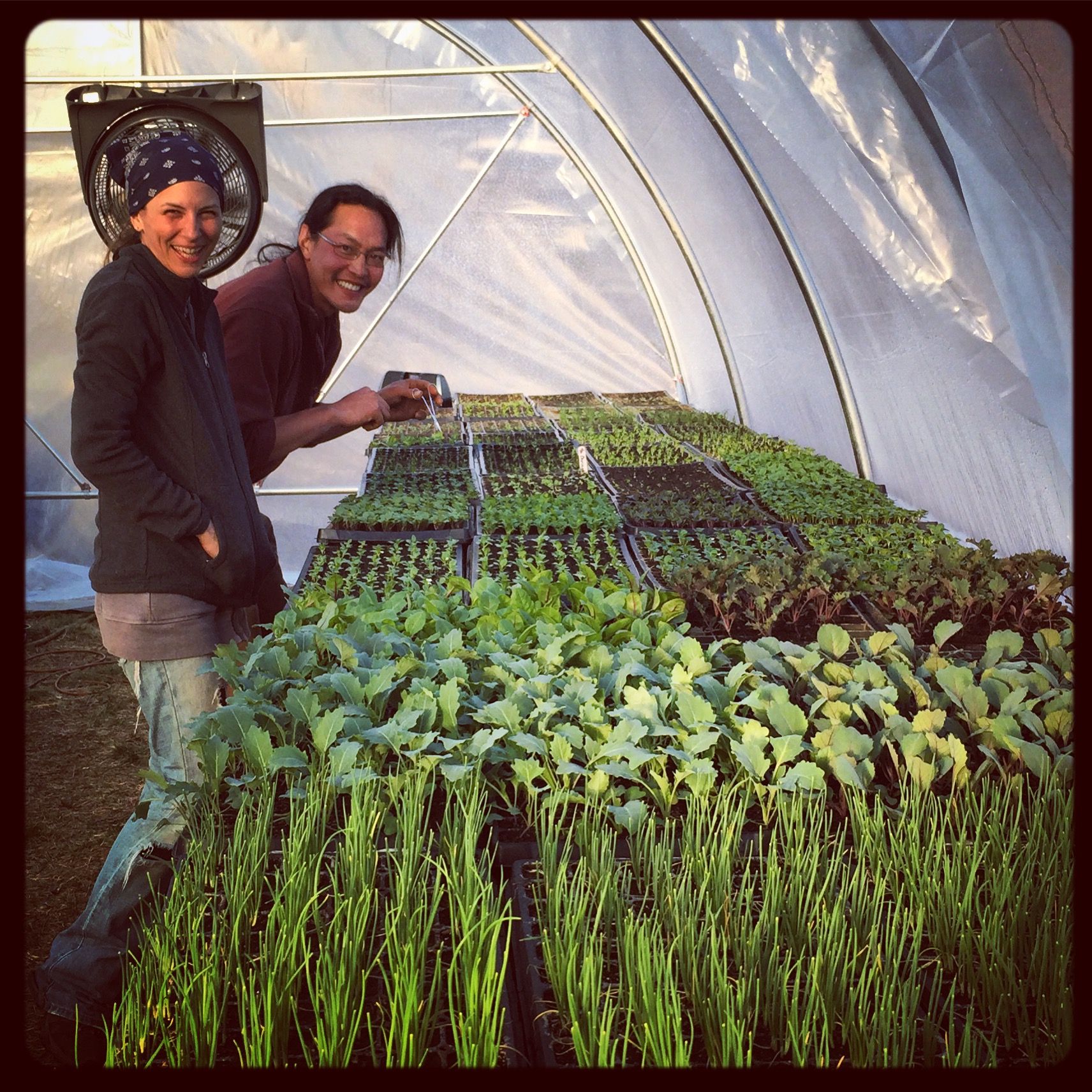  Hillary &amp;&nbsp;Wilson in the greenhouse 