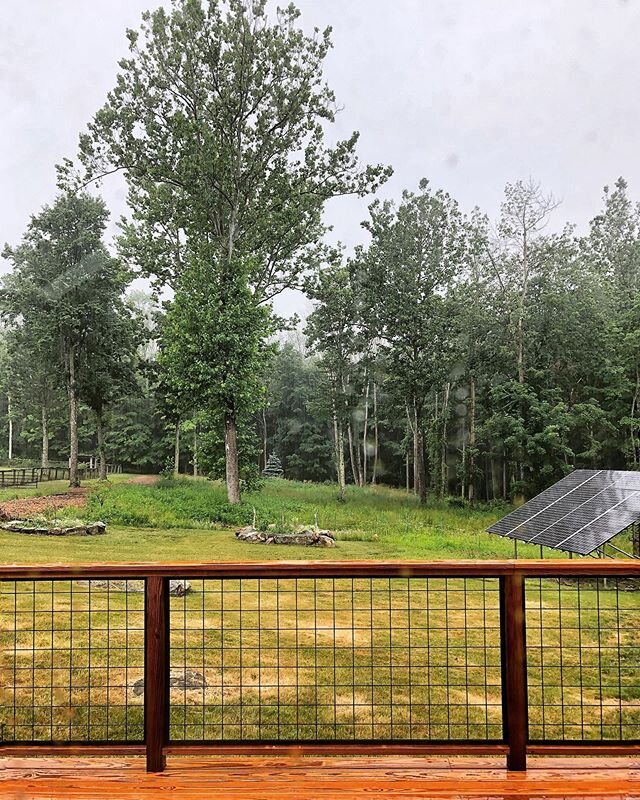 New views, wild hog panel railing and thermally modified pine deck. I&rsquo;m so happy it&rsquo;s raining so for once I don&rsquo;t have to water the garden!
.
.
#wildhogpanel #thermallymodified #thermallymodifiedwood