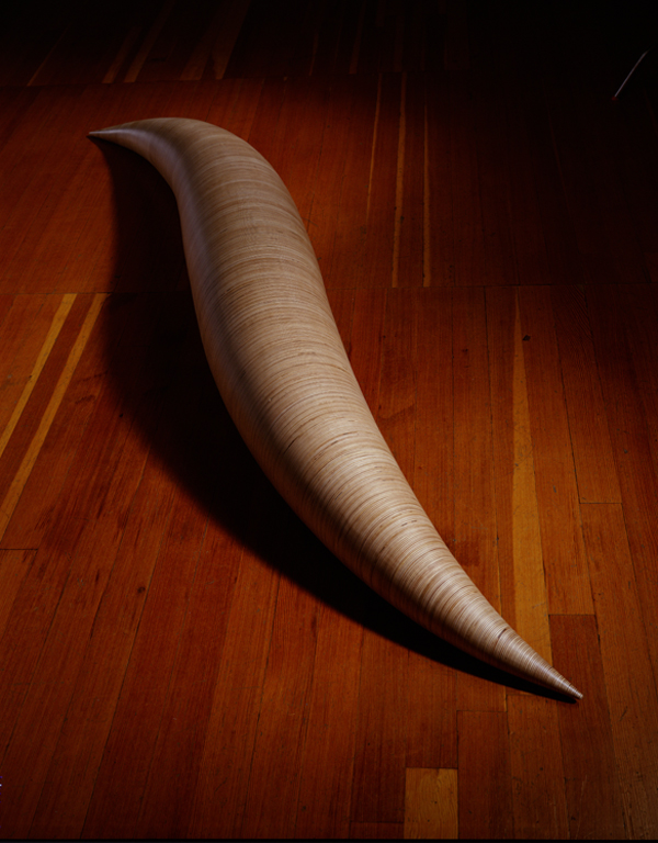 Pike (basking)
