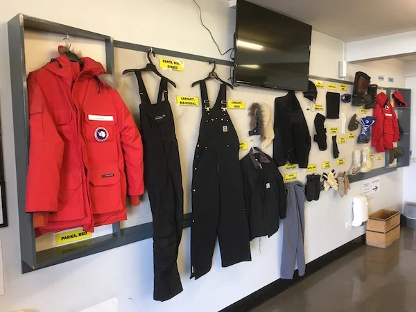 The height of Antarctic fashion this year.