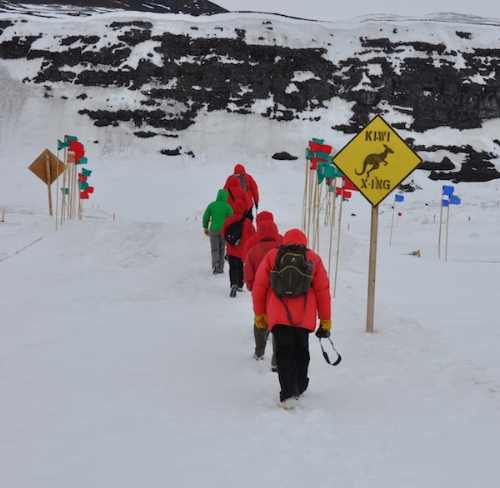 Green and red flags mark safe routes for walking or driving.