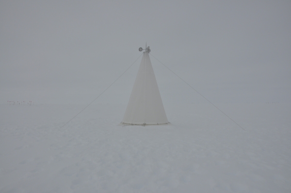 White on white.