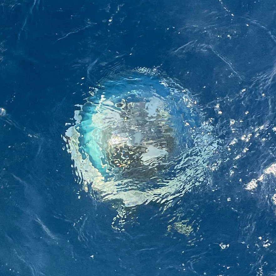 Bathysphere submerged on the way to 300m depth in the Mediterranean Sea