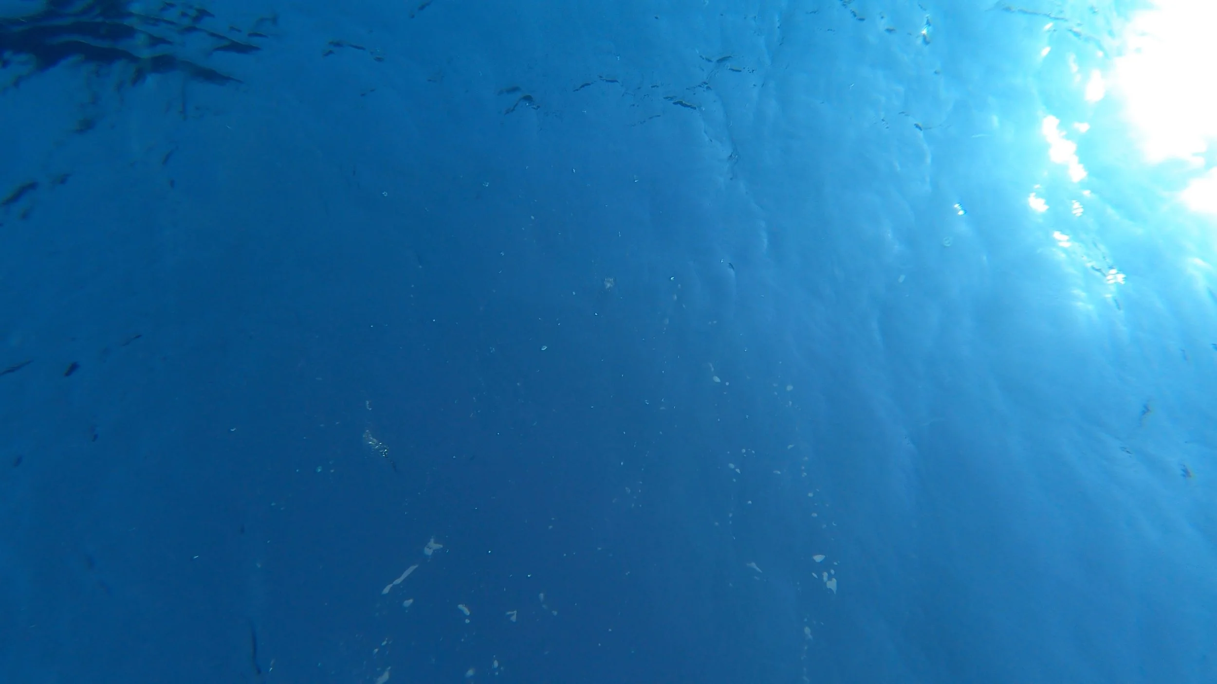 Bathysphere Dive Still 3.jpg
