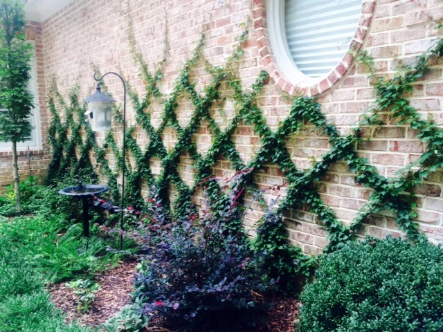  Brentwood Detail Garden 