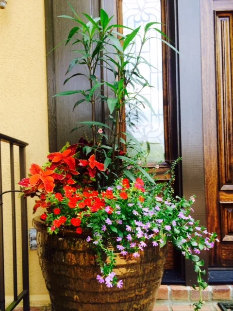  Seasonal Color 