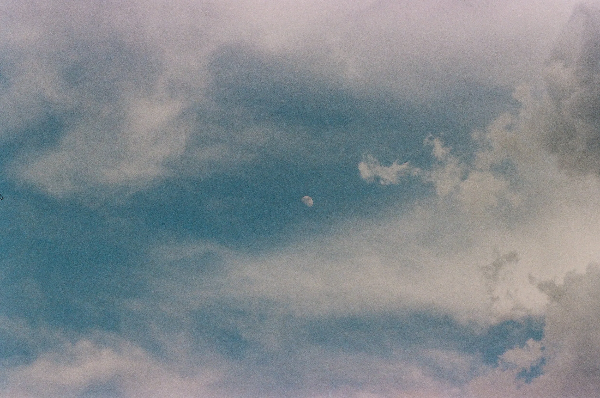 film-12.jpg