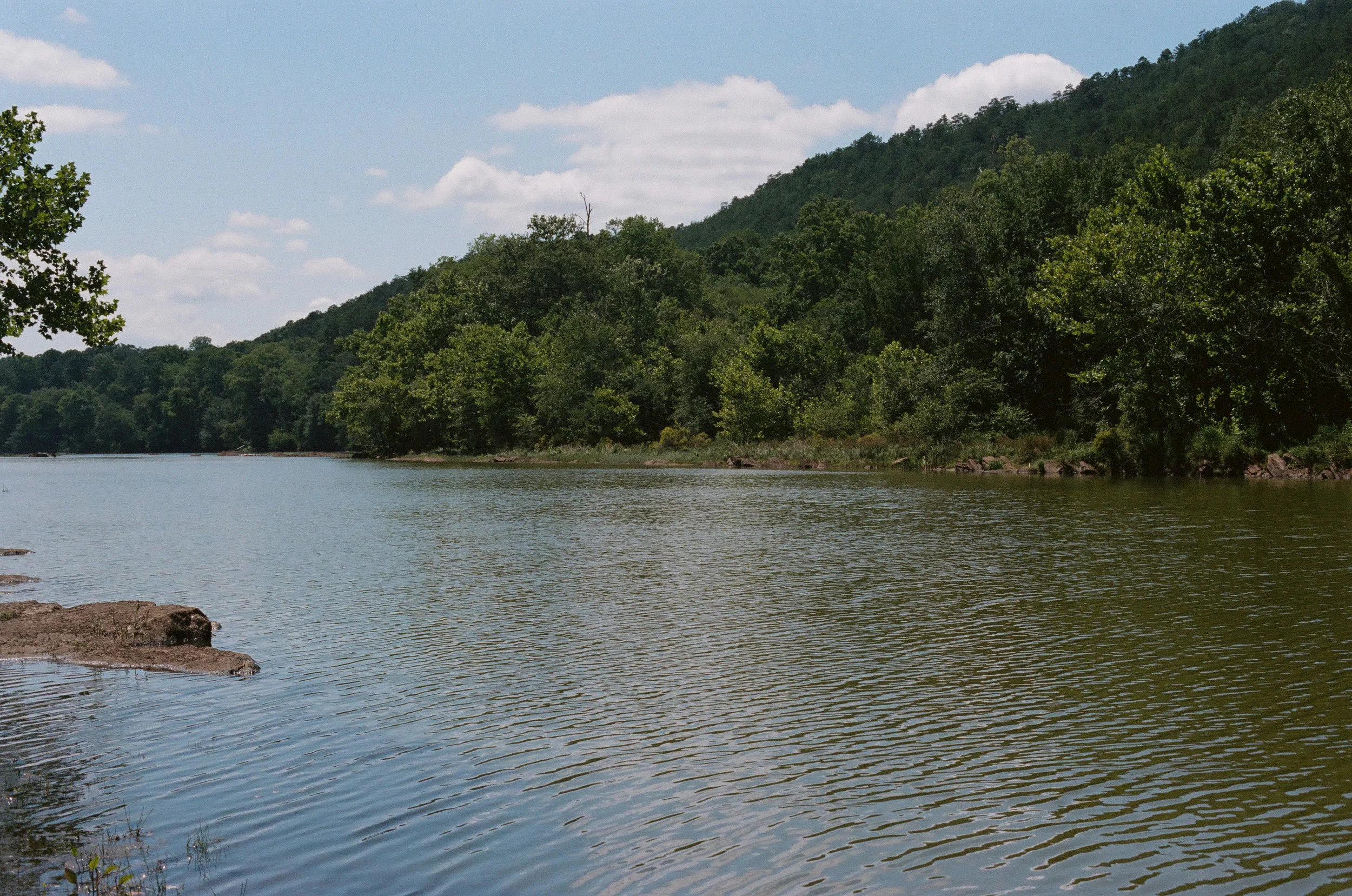 film-8.jpg
