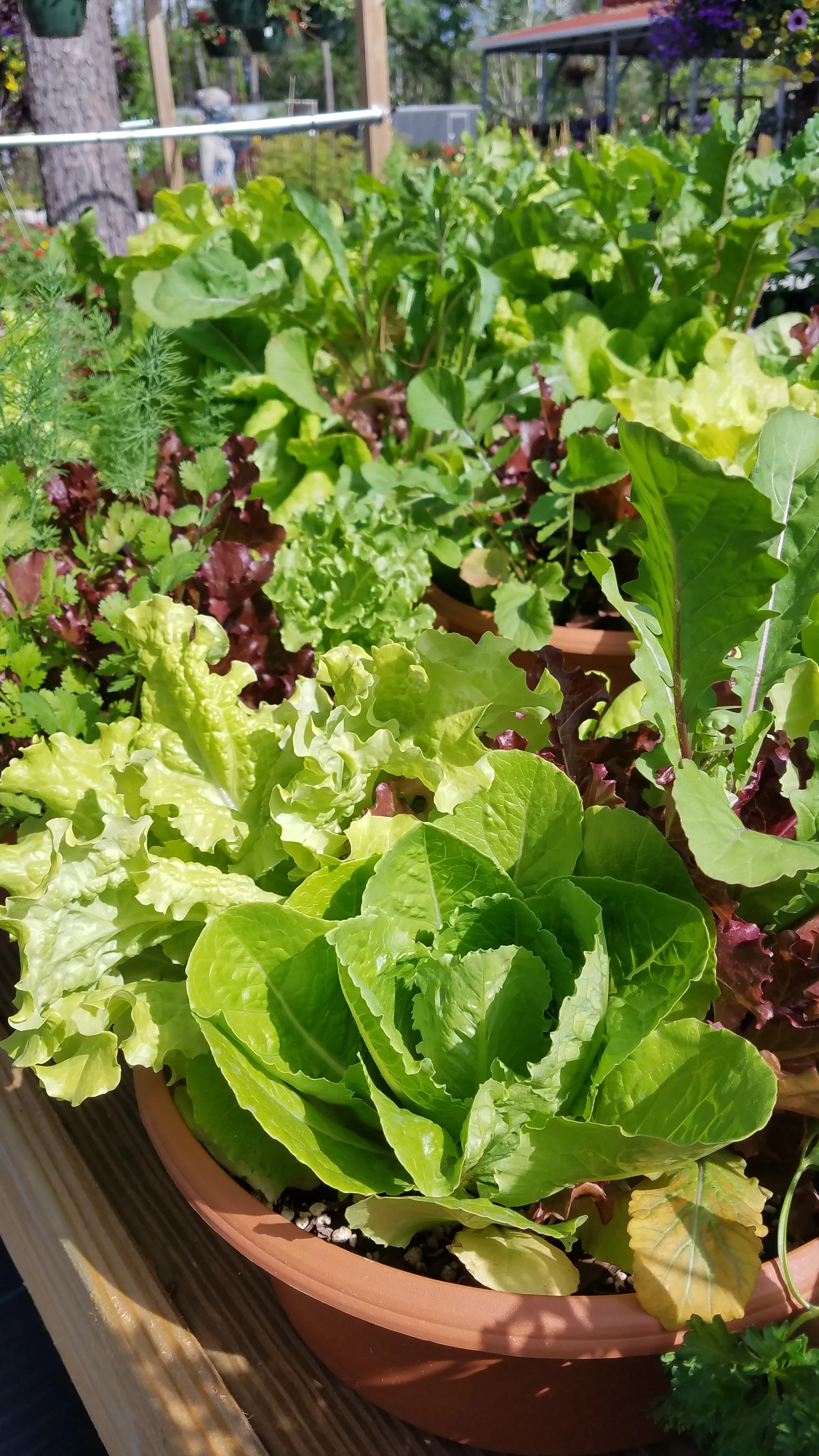 20190428_100720.jpg