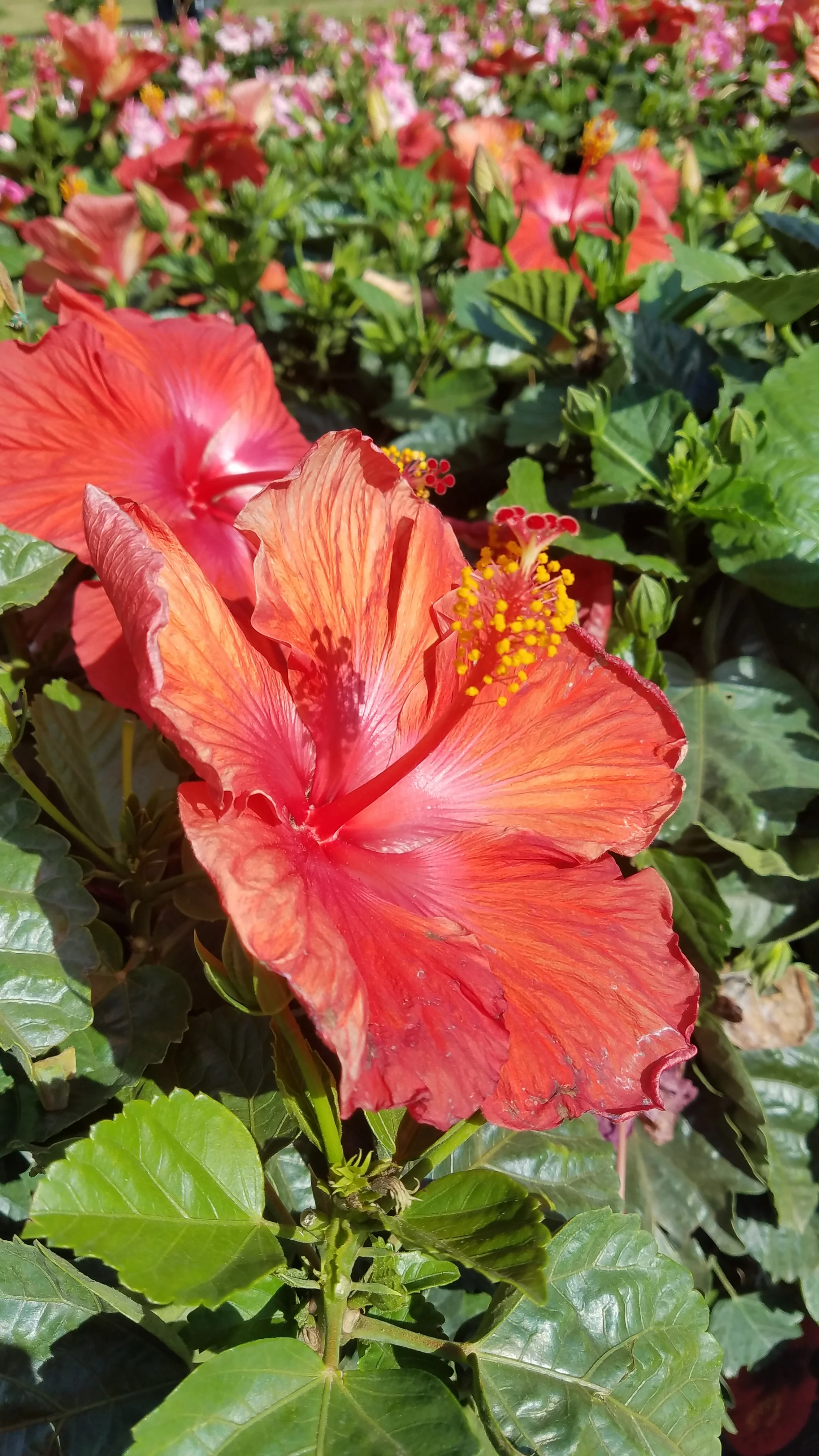 20190428_093700.jpg