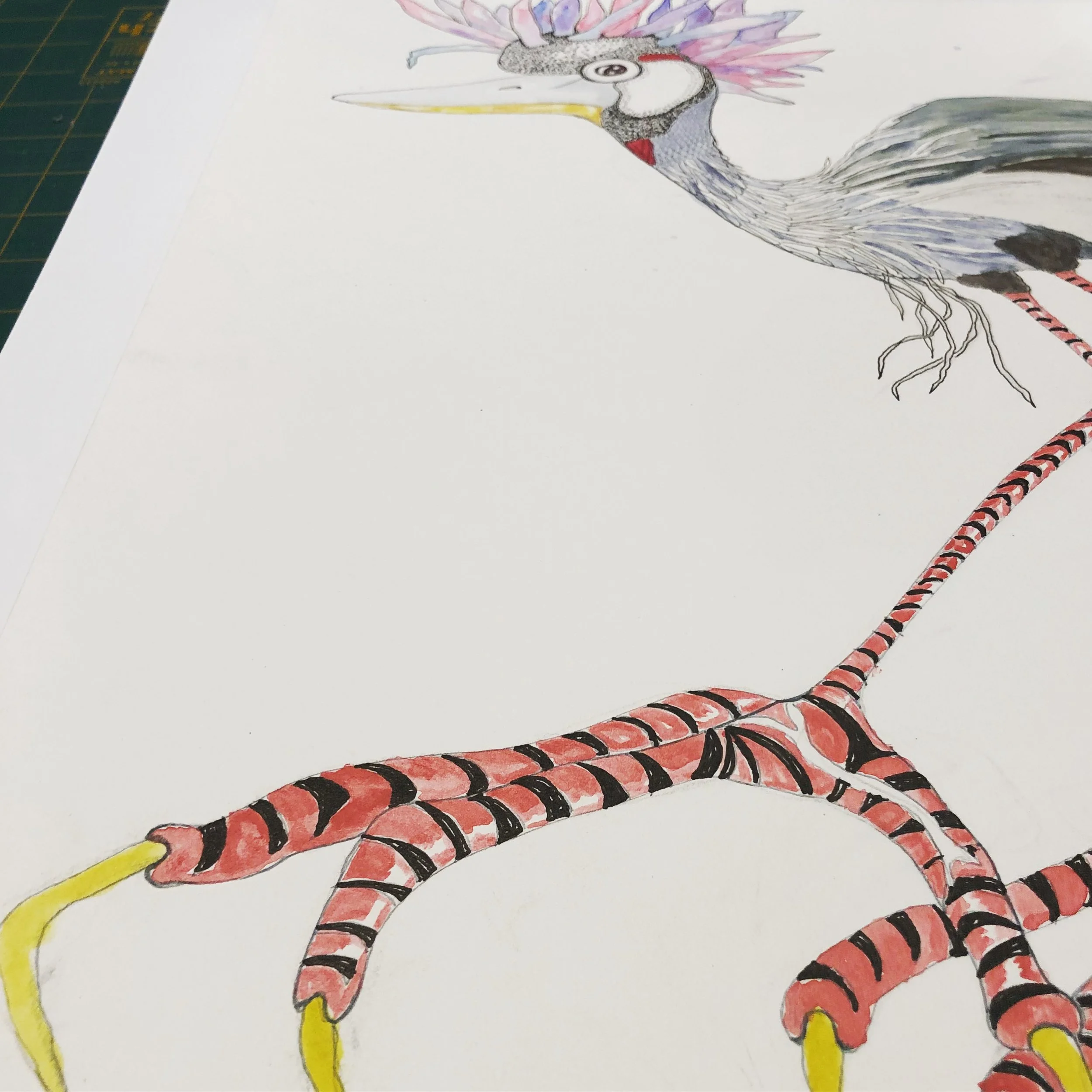 52 Birds Solo Exhibition 