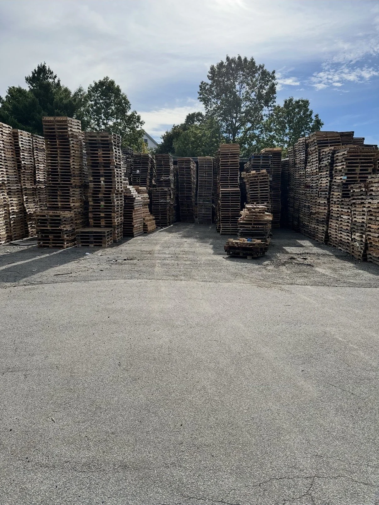 Stacks of wooden pallets arranged in an outdoor storage area with trees and a partly cloudy sky in the background.