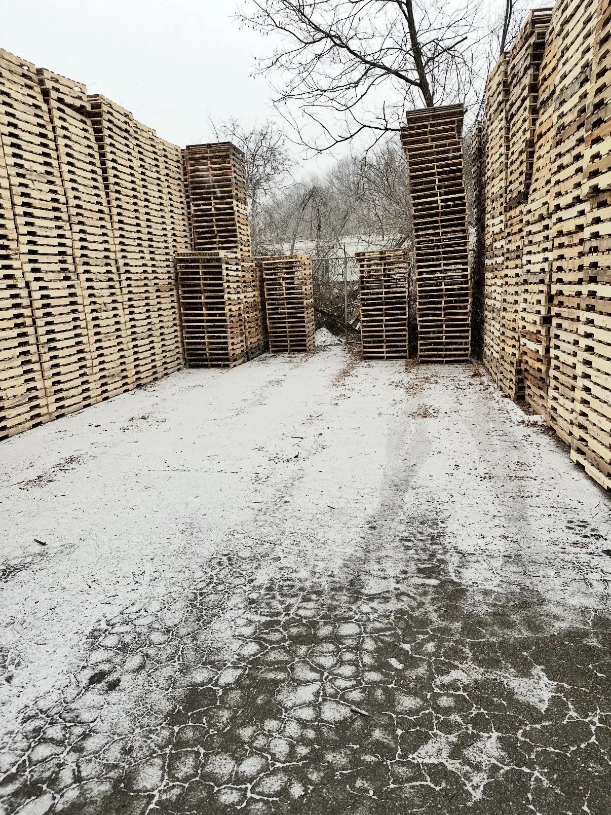 A snowy outdoor scene with stacks of wooden pallets arranged along both sides, creating a narrow pathway. The pathway is covered in snow and ice, with some tire tracks visible. Bare trees are in the background, and the sky is overcast.