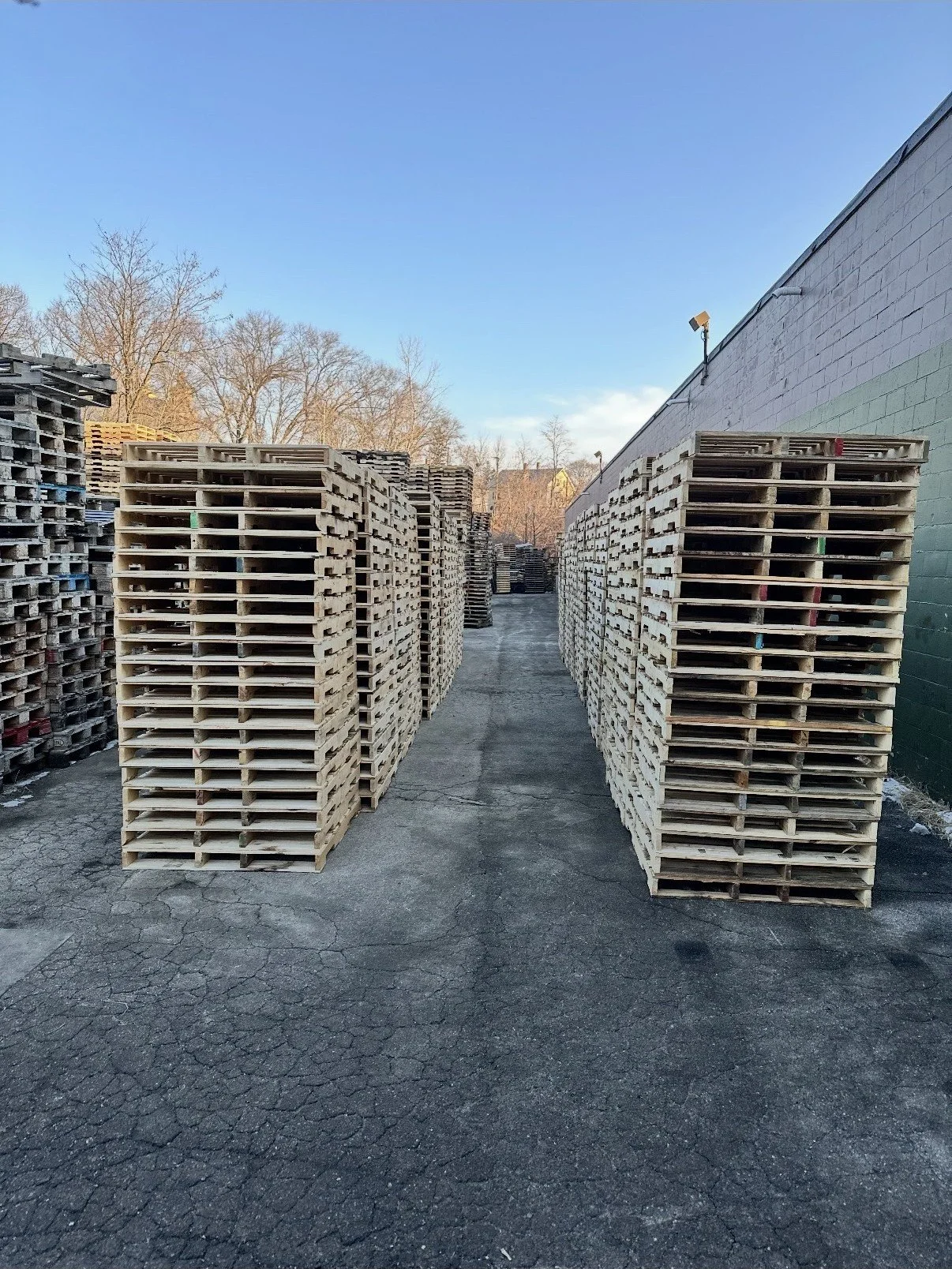 Stacks of wooden pallets arranged in rows outdoors on a paved surface under a clear blue sky.