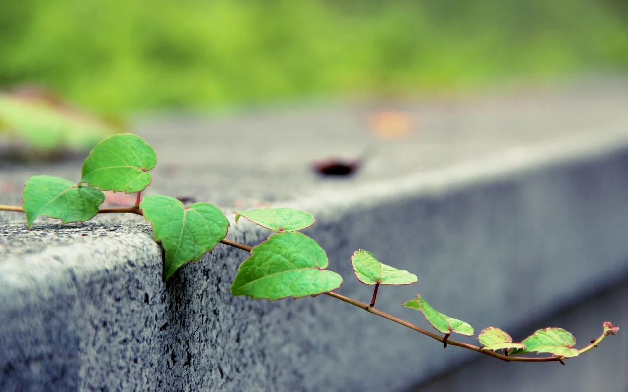 Reflections on discipleship (part 1)