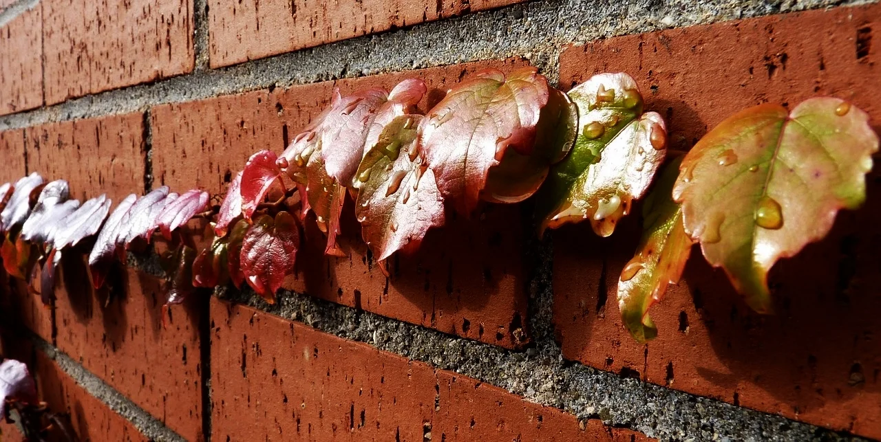 Reflections on discipleship (part 2)