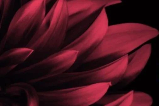 Book Review of ‘God’s Good Design’