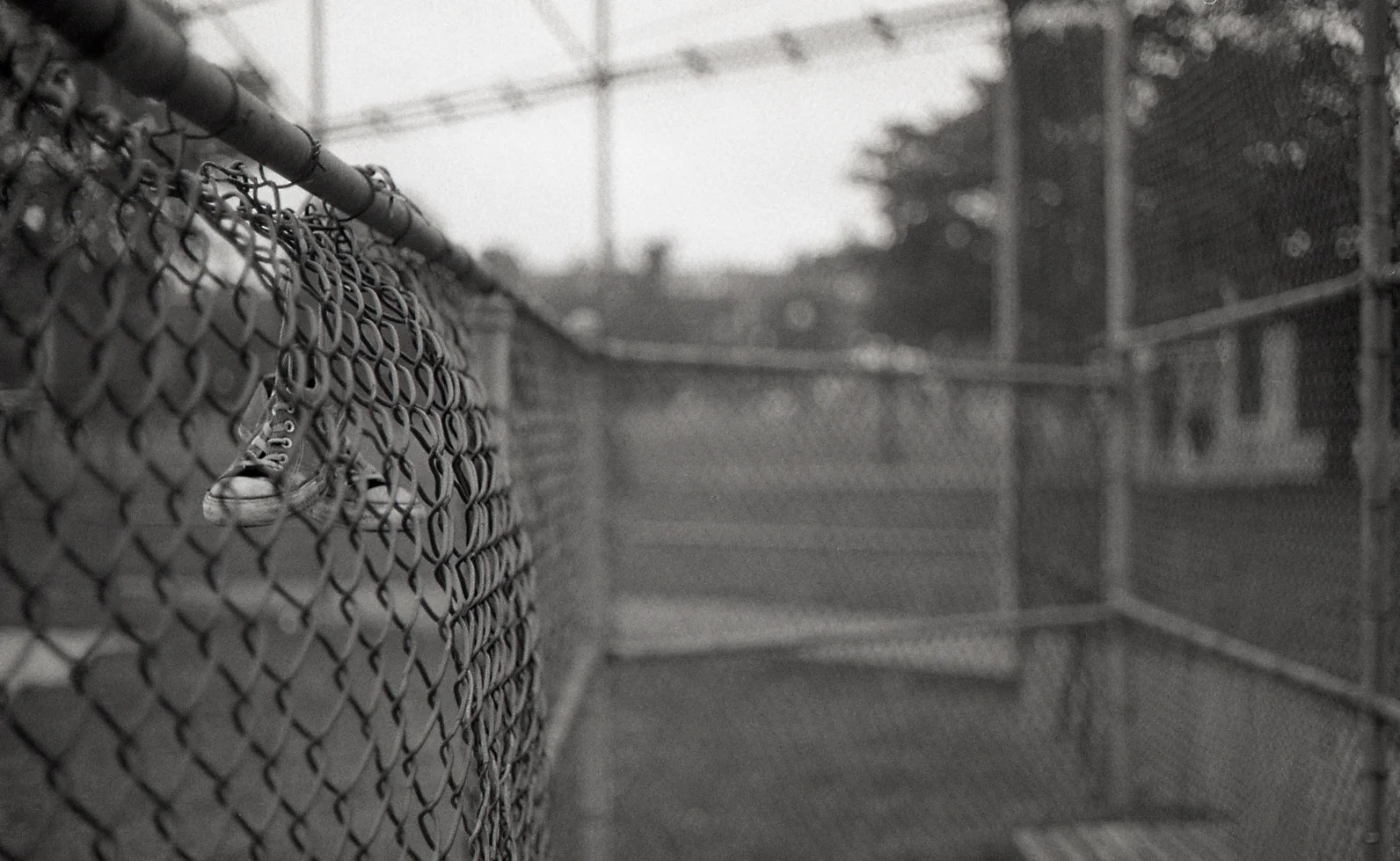 Photo by Austin Quintana