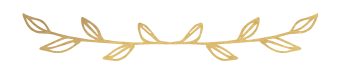 KR_Branch_Divider.png