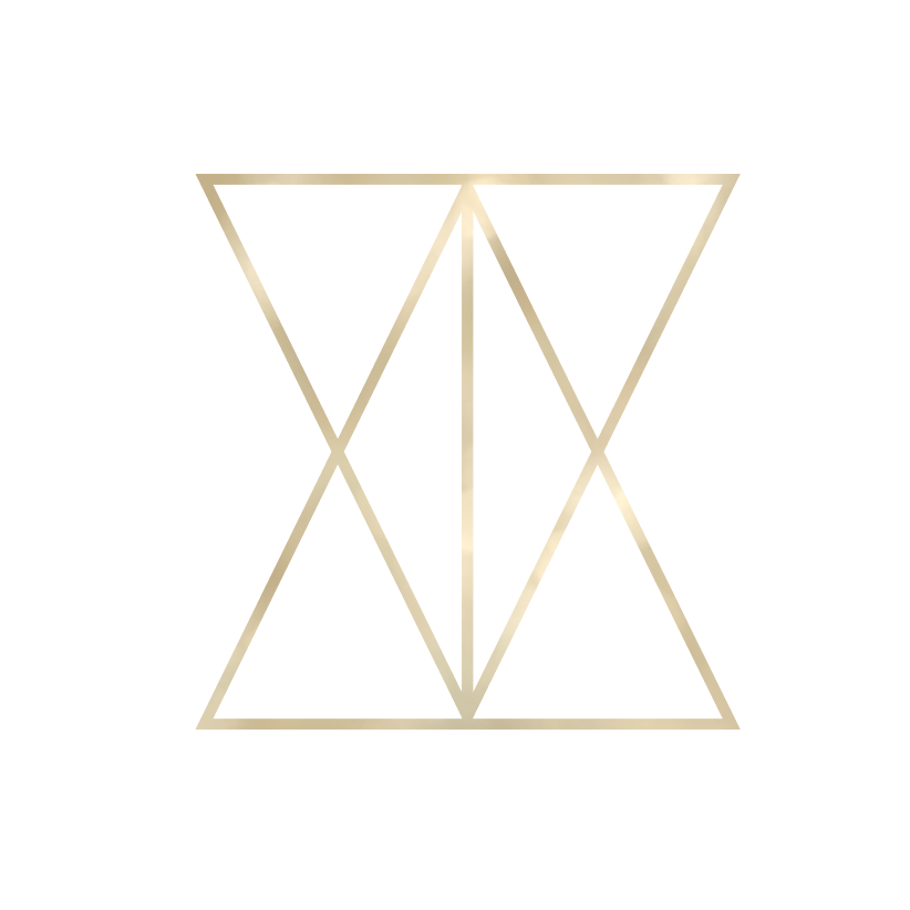 Icon only-Duality_LG.png