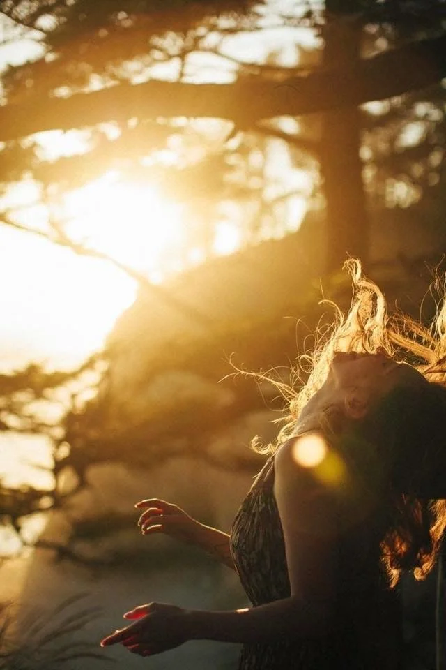 The soft animal of my body