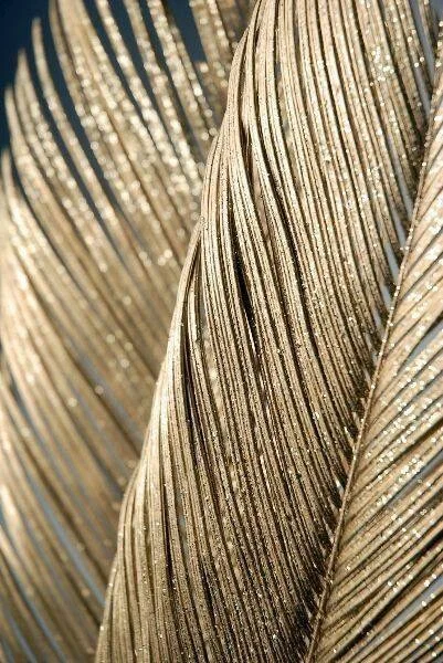 Witnessing the Ripple Effect is EVERYTHING